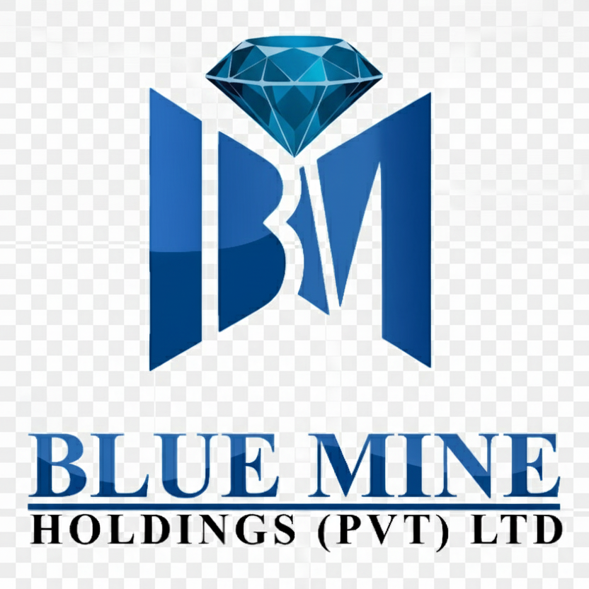 Blue Mine Holdings